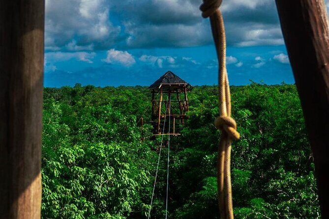 The Original Cozumel Zipline Adventure - Who this tour fits best (and who should think twice)