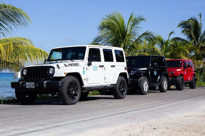 The Original Jeep Tour Revamped by Tortugas Cozumel® (Private) - Tortugas Beach Club: shore snorkeling inside the National Marine Park