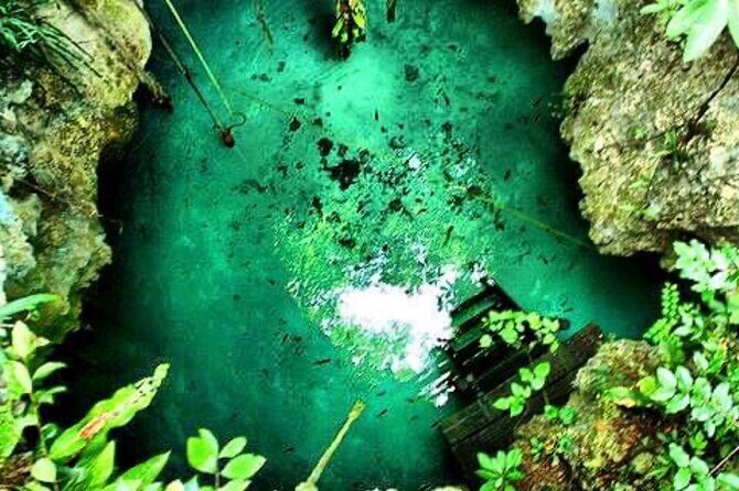 Tour Cenote Santa Cruz - How to Choose Your Time Slot (Morning vs Afternoon)