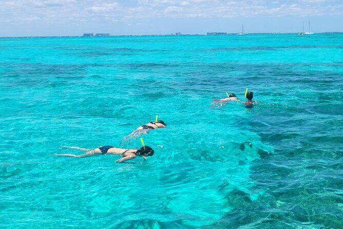 Tour to Cozumel by Catamaran with Snorkeling and Buffet Lunch - Lunch Choices and Open Bar: What’s Included (and What to Expect)