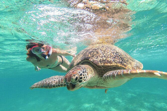 Tour to Tulum and Cenote Swimming with Turtles from Tulum - Quick hits before you go