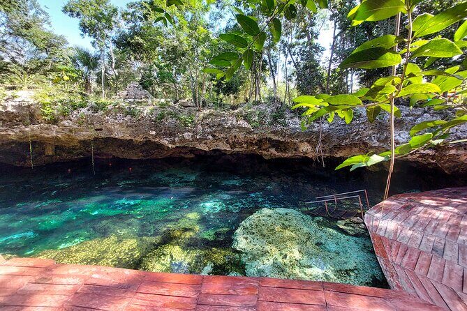 Tour to Tulum and cenote with swimming with turtles from Riviera Maya - Stop 3: Akumal Turtle Snorkeling and the Eco-Fee Reality Check