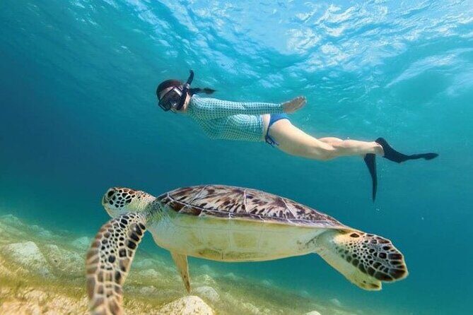 Tour to Tulum and cenote with swimming with turtles from Riviera Maya - Who This Tour Fits Best (And Who Might Prefer a Different Style)