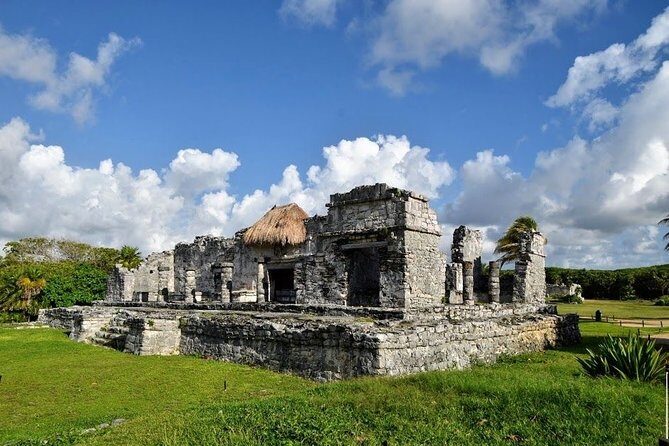 Tour to visit the archeological site of Tulum, Coba and a Cenote in one day - Price and Logistics: The $40 Deal Plus the Fees You Must Plan For