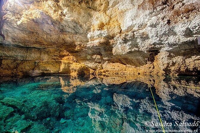 Tour Tulum Coba Cenote and Playa del Carmen (4 in 1) - Playa del Carmen’s Fifth Avenue: A One-Hour Reset