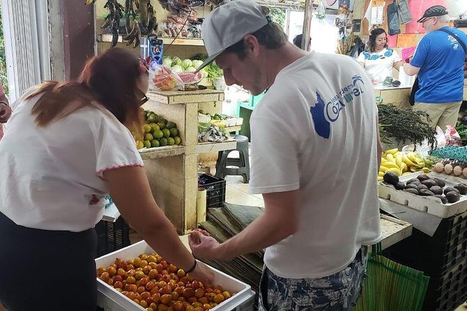 Traditional Family Kitchen in Cozumel - Digital Recipe Book: Why You’ll Actually Cook It Again