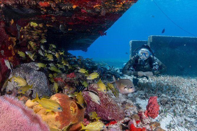 Try Scuba Diving - No previous experience! - Key things I’d plan around before you go
