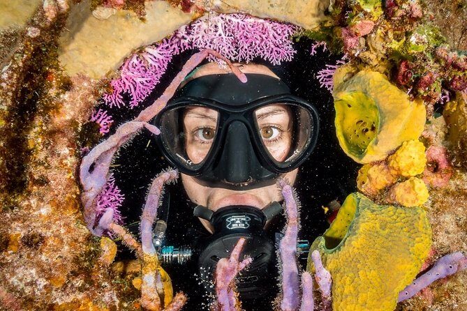 Try Scuba Diving - No previous experience! - Palancar Reef and the Cozumel Marine Park: what your reef time is built for