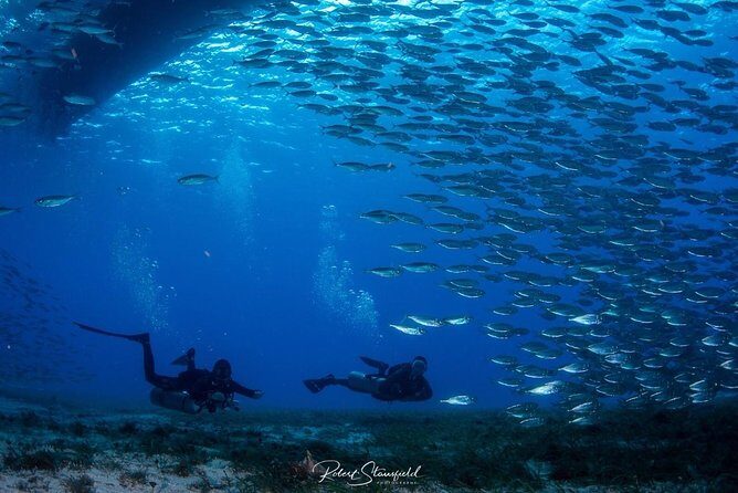 Try Scuba Diving - No previous experience! - Who this scuba experience suits best (and who should think twice)