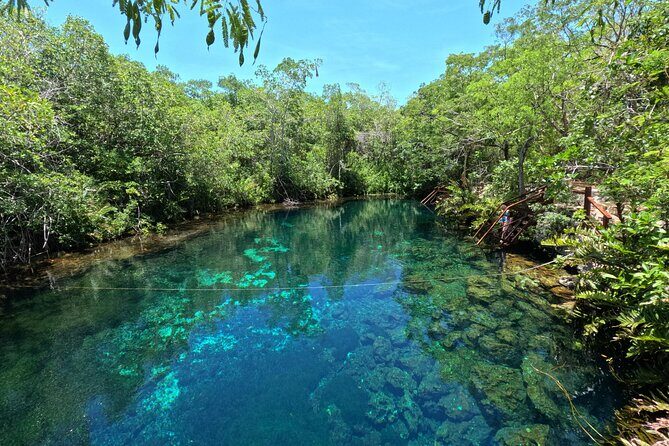 Tulum + 2 Cenotes & Authentic Taco Adventure - Who This Tour Fits Best (and Who Might Re-think)