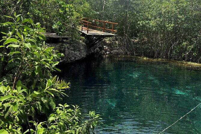 Tulum + 2 Cenotes & Authentic Taco Adventure - Should You Book This Private Tulum + Dos Ojos Day?