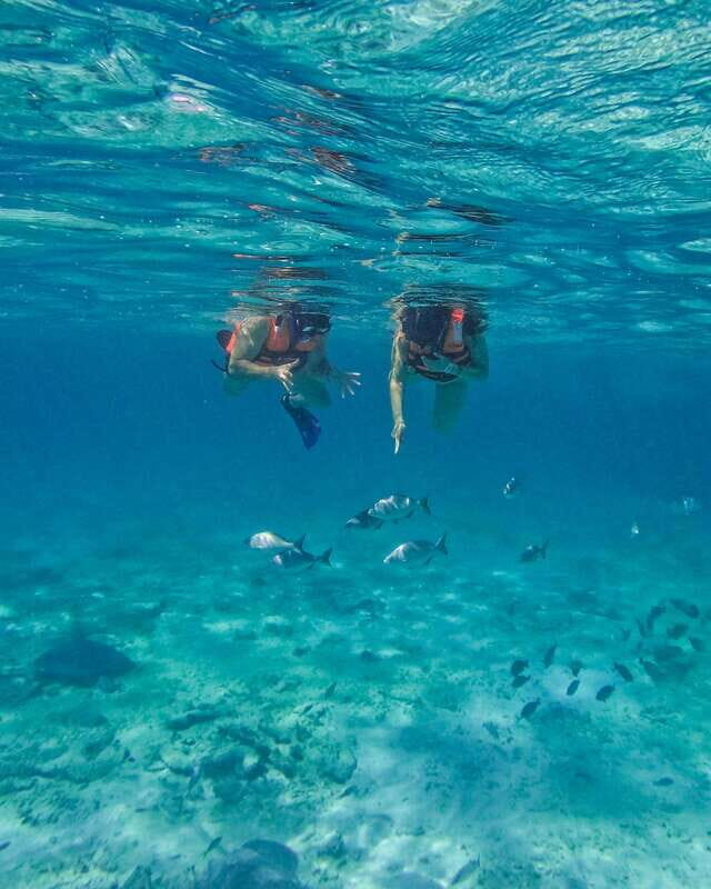 Tulum: 2-Hour Snorkeling in Two Spots of Tulum's Reef - Reef Time With Two Stops and a Ruins-to-Sea Boat Ride