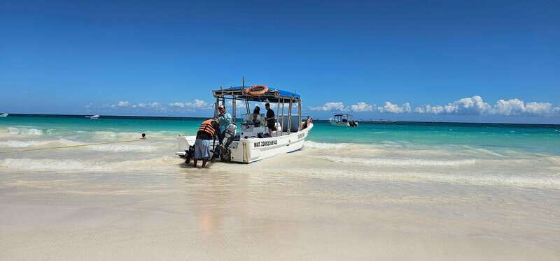 Tulum: 2-Hour Snorkeling in Two Spots of Tulum's Reef - What You’ll See Underwater: Turtles, Stingrays, and Reef Fish