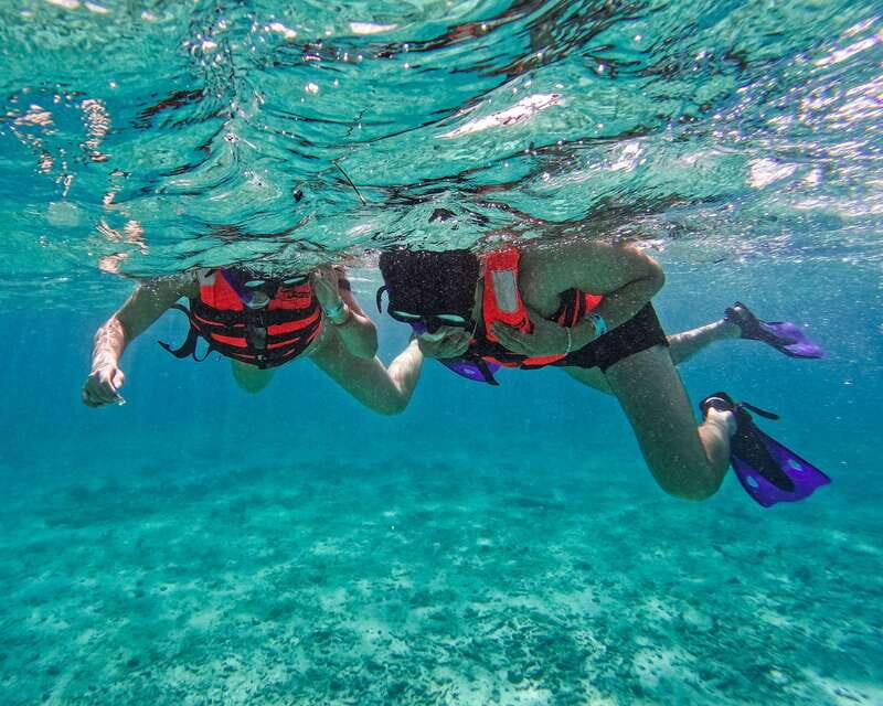 Tulum: 2-Hour Snorkeling in Two Spots of Tulum's Reef - Safety, Guide Style, and Group Size: The Human Side