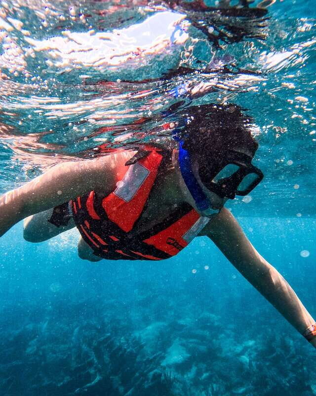 Tulum: 2-Hour Snorkeling in Two Spots of Tulum's Reef - Should You Book This Tulum 2-Hour Reef Snorkel?