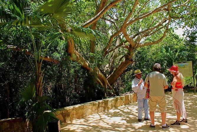Tulum and Cenote Casa Tortuga Day Trip - Price and Value: What $129 Covers (and What You’ll Still Pay)