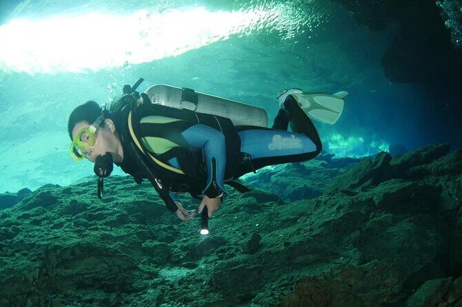 Tulum Area Experiences Guided 2 Tank Scuba Dive Casa Cenote & Barrier Reef-Lunch - The Mayan Lunch Break: Cochinita, Fruit, and Enough Fuel for the Reef