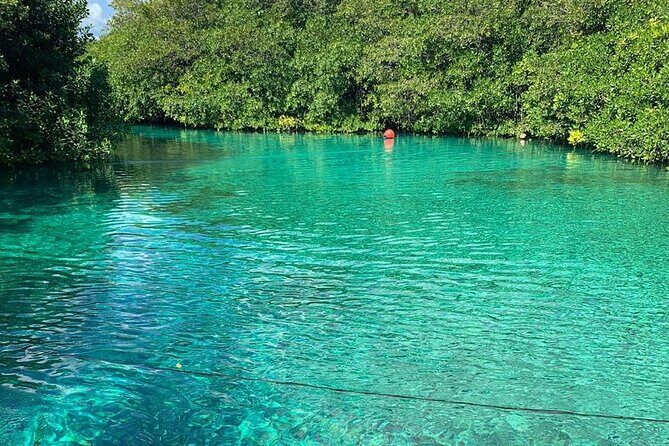 Tulum Area Experiences Guided 2 Tank Scuba Dive Casa Cenote & Barrier Reef-Lunch - Final Verdict: Should You Book This Tulum Scuba Tour?