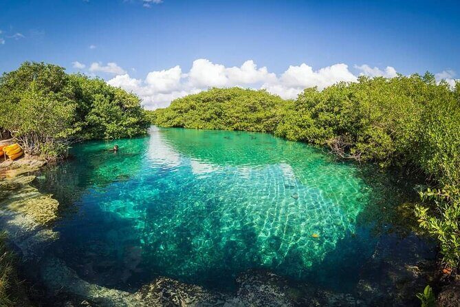 Tulum Area Experiences Guided Snorkeling Tour - Casa Cenote + Ocean Reef & Lunch - How the 6-hour tour flows from Casa Cenote to the Barrier Reef