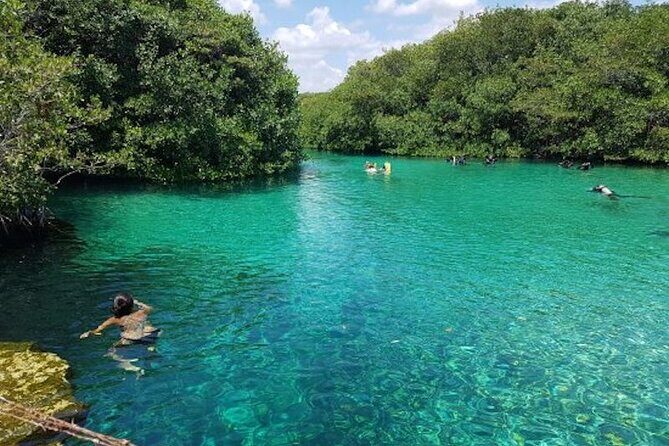 Tulum Area Experiences Guided Snorkeling Tour - Casa Cenote + Ocean Reef & Lunch - Boat ride between habitats: a small break that matters