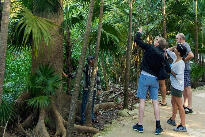 Tulum Bike Tour Tulum Maya Ruins Cenote Swimming Pueblo History Art Tacos Lunch - Electric Bike Option (+25 USD): When It Makes Sense