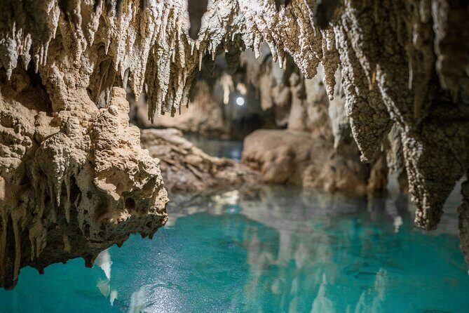 Tulum & Cenote Adventure - Yax-Muul cenote: snorkel gear, stalactites, and that cool-water reset