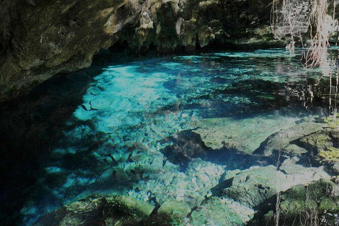TULUM, CENOTE, MYSTIKA MUSEUM, TURTLES SNORKELING (Private) - Mystika Museum: A Clean Break From Outdoors
