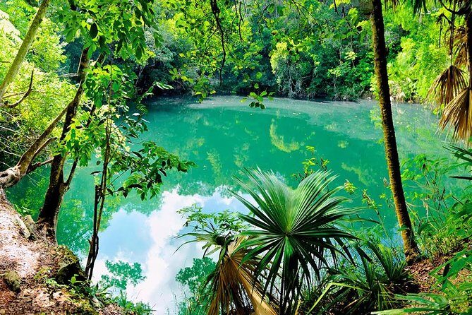 TULUM, CENOTE, MYSTIKA MUSEUM, TURTLES SNORKELING (Private) - Guides Who Set the Tone: Why Private Feels Different