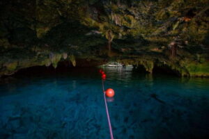 Tulum: Cenote Trail Bike Tour - Getting to the start: Tulum area meeting point and timing