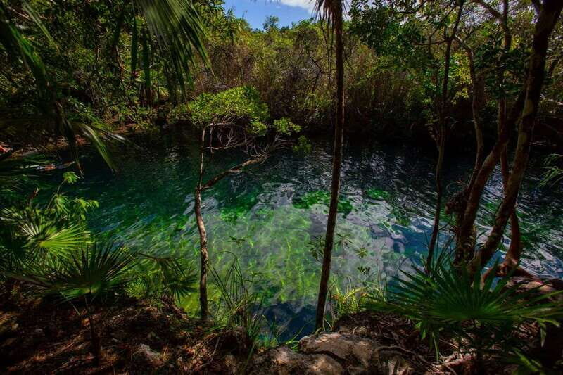 Tulum: Cenote Trail Bike Tour - Option 2: Cristal and Escondido cenotes plus brunch