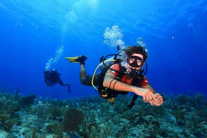 Tulum Diving (Reef) 2 Tanks - Key highlights you’ll care about