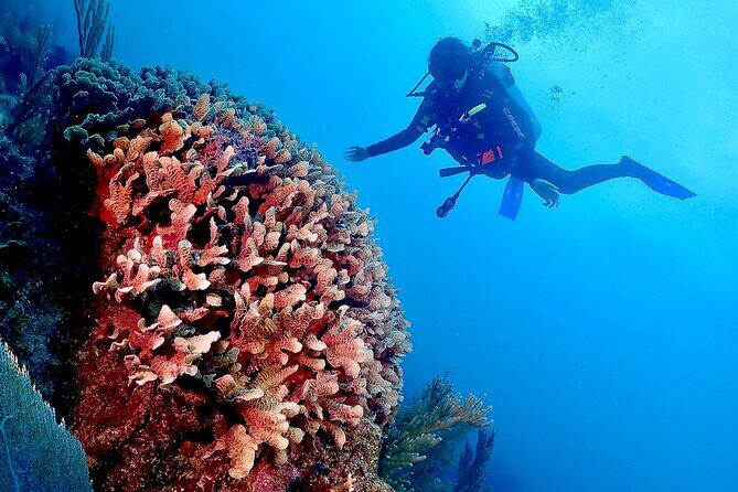 Tulum Diving (Reef) 2 Tanks - Timing, weather, and how to be ready (without overthinking it)