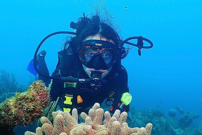 Tulum Diving (Reef) 2 Tanks - Briefing with PADI instructors: why the first 30 minutes matter