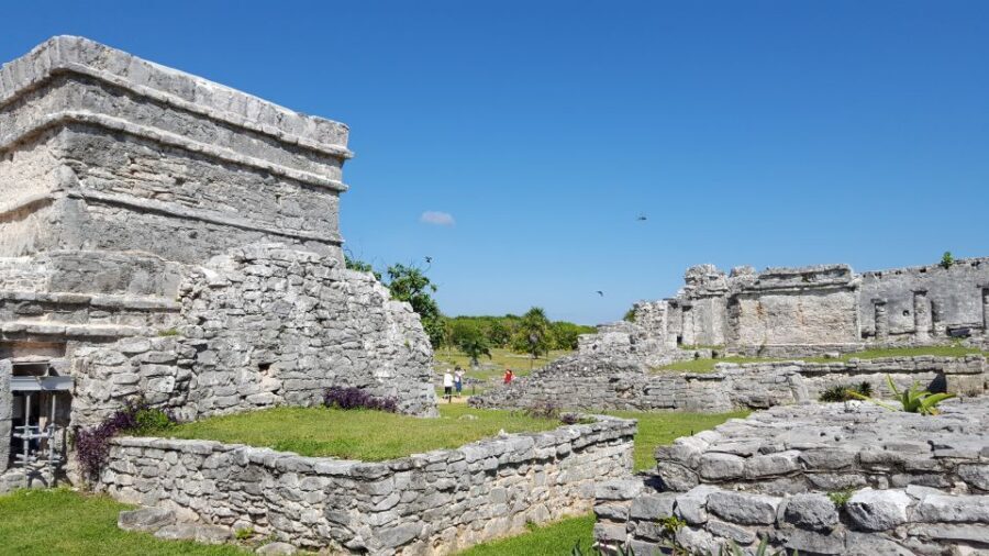 Tulum: Guided Bike Tour of Tulum Ruins, Tacos & Cenote - Melipona Maya Bee Foundation: stingless bees and real cultural tech
