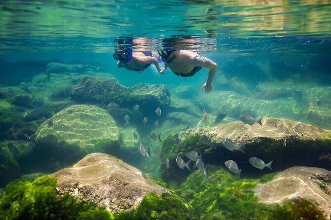 Tulum Guided Tour, Magical Cenote, Lagoon Snorkeling and Beachside Lunch - Price and value: what $169 gets you (and what costs extra)