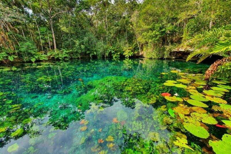 Tulum: Half-Day Adventure Zip line Cenote in Mayan Community - Why This Zipline and Cenote Mix Works So Well