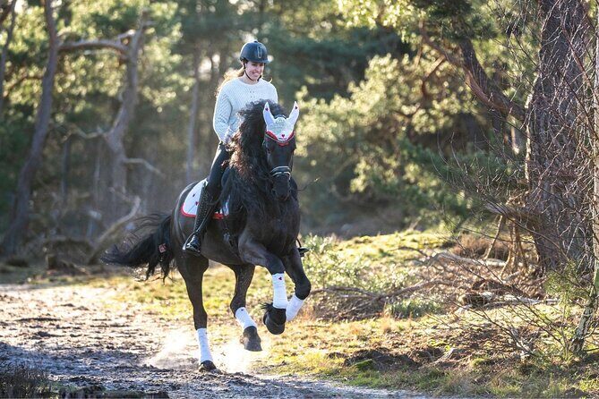 Tulum Jungle Horseback Ride + ATV + Ziplines + Cenote Combo Tour - Price and value: what $125 really buys you in Tulum