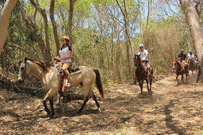 Tulum Jungle Horseback Ride + ATV + Ziplines + Cenote Combo Tour - Cenote through an underground river: cold water, big reward