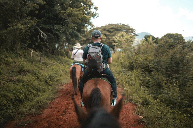 Tulum Jungle Horseback Ride + ATV + Ziplines + Cenote Combo Tour - Food, drinks, and the small comfort wins