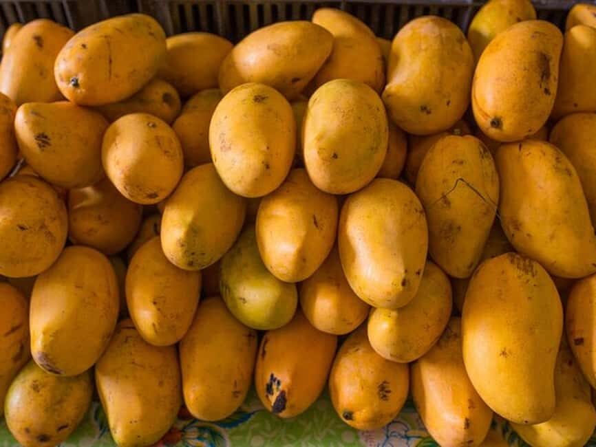 Tulum: Mexican Cooking Class in Local Home - Mezcal Tasting Session: More Than a Flavor Shot