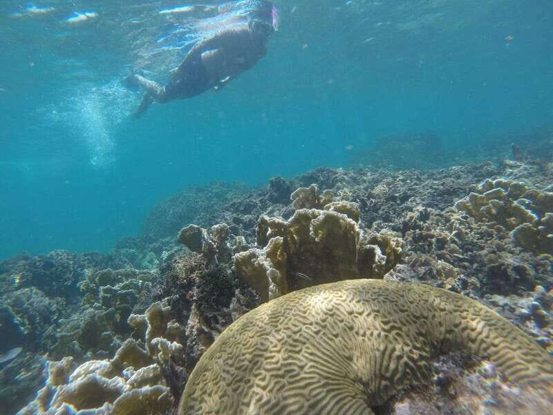 Tulum: Private Snorkel and Sailing Experience - Starting at Pocna Tulum: getting to the beach without stress