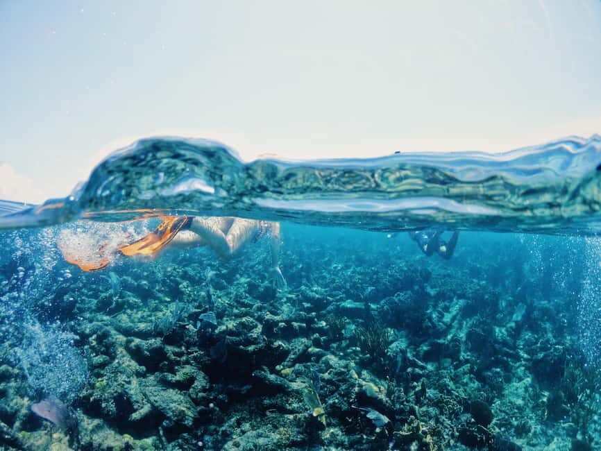 Tulum: Private Snorkel and Sailing Experience - After the boat: snack time, beach club time, and Jaguar National Park extras