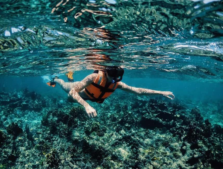 Tulum: Private Snorkel and Sailing Experience - Price and value: why $80 feels fair for what you get