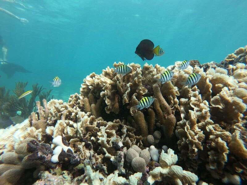 Tulum: Private Snorkel and Sailing Experience - Possible drawbacks: the weather, the limits, and the practical rules