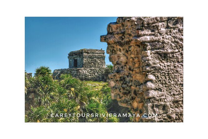 Tulum Ruins and Cenote Taak-bi-ha Private Tour - Private transfers and timing: why your morning starts at 7:00 am