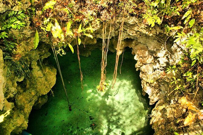 Tulum Ruins & Cenote guided private tour from Tulum and Riviera Maya. - Weather and Comfort: When the Day Changes