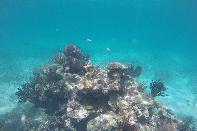 Tulum ruins swim with turtles in Akumal and Cenote - Guide Quality: Why Bilingual Matters (And When You’ll Notice It)