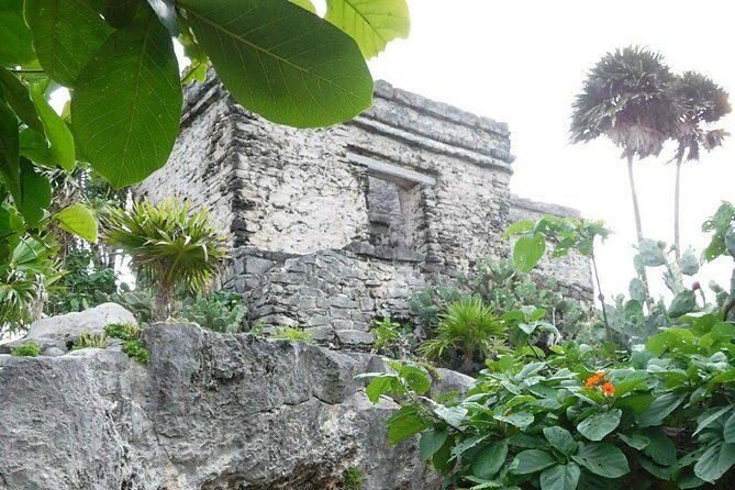 Tulum Ruins Tour (Private, Half Day) - Transport time: the part people forget to budget