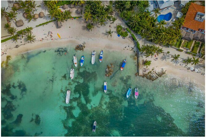 Tulum Ruins, Turtles in Akumal and Cenote tour - Key things that make this tour work