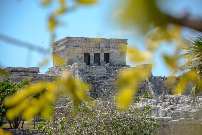 Tulum Ruins, Turtles in Akumal and Cenote tour - Stop 2: Akumal Turtle Bay snorkeling—life jackets on and no fins